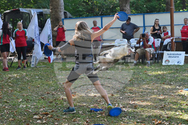 Вършец - „Българско овчарско куче“ - киноложка изложба