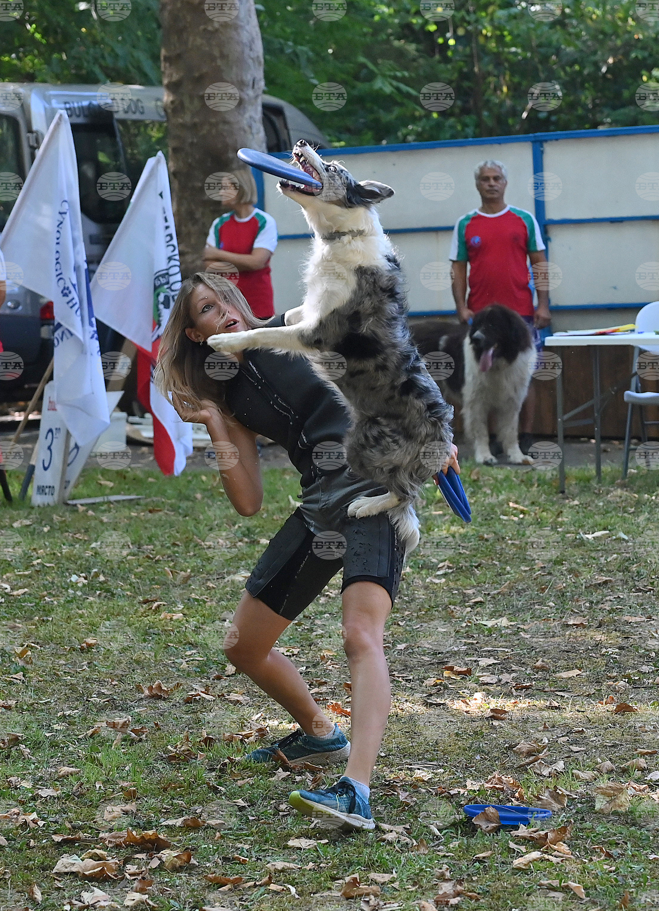 Вършец - „Българско овчарско куче“ - киноложка изложба