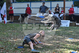 Вършец - „Българско овчарско куче“ - киноложка изложба
