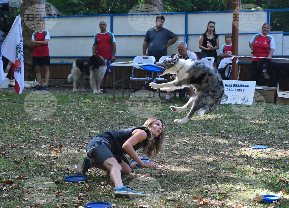 Вършец - „Българско овчарско куче“ - киноложка изложба