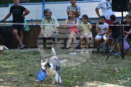Вършец - „Българско овчарско куче“ - киноложка изложба