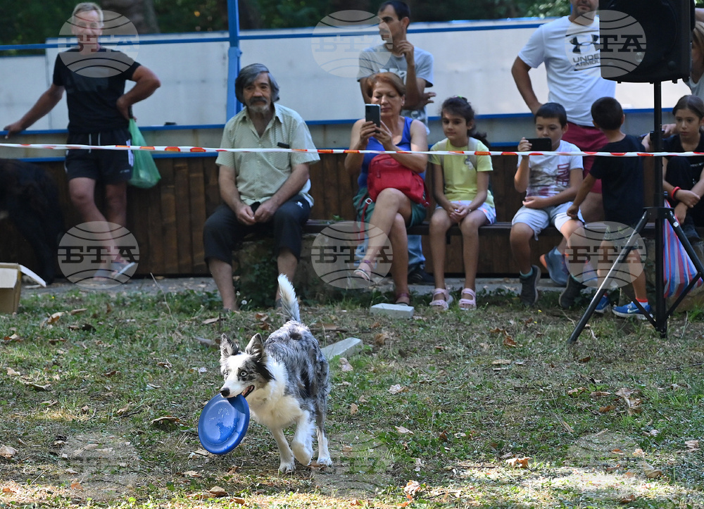 Вършец - „Българско овчарско куче“ - киноложка изложба