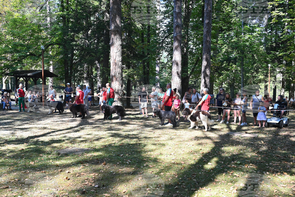 Вършец - „Българско овчарско куче“ - киноложка изложба