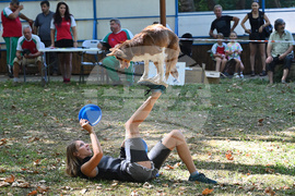 Вършец - „Българско овчарско куче“ - киноложка изложба