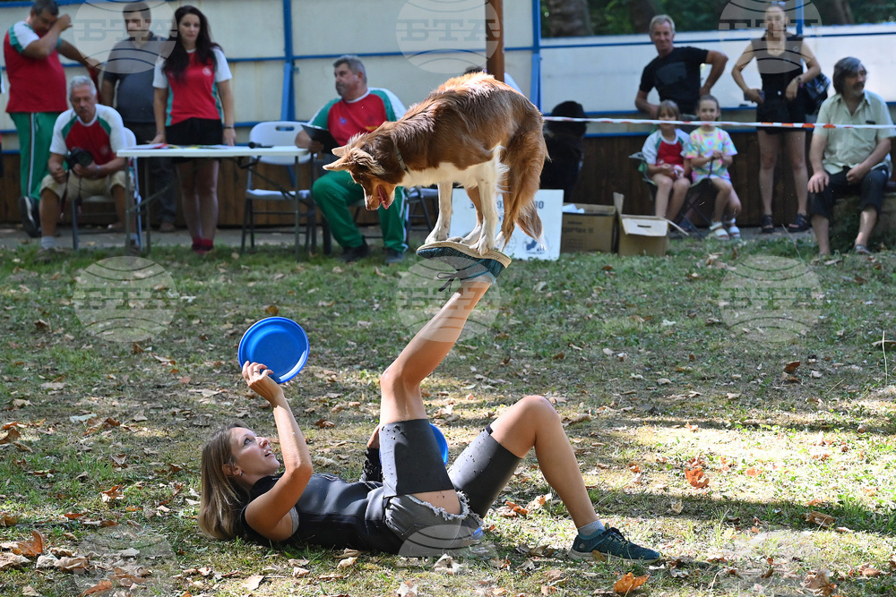 Вършец - „Българско овчарско куче“ - киноложка изложба