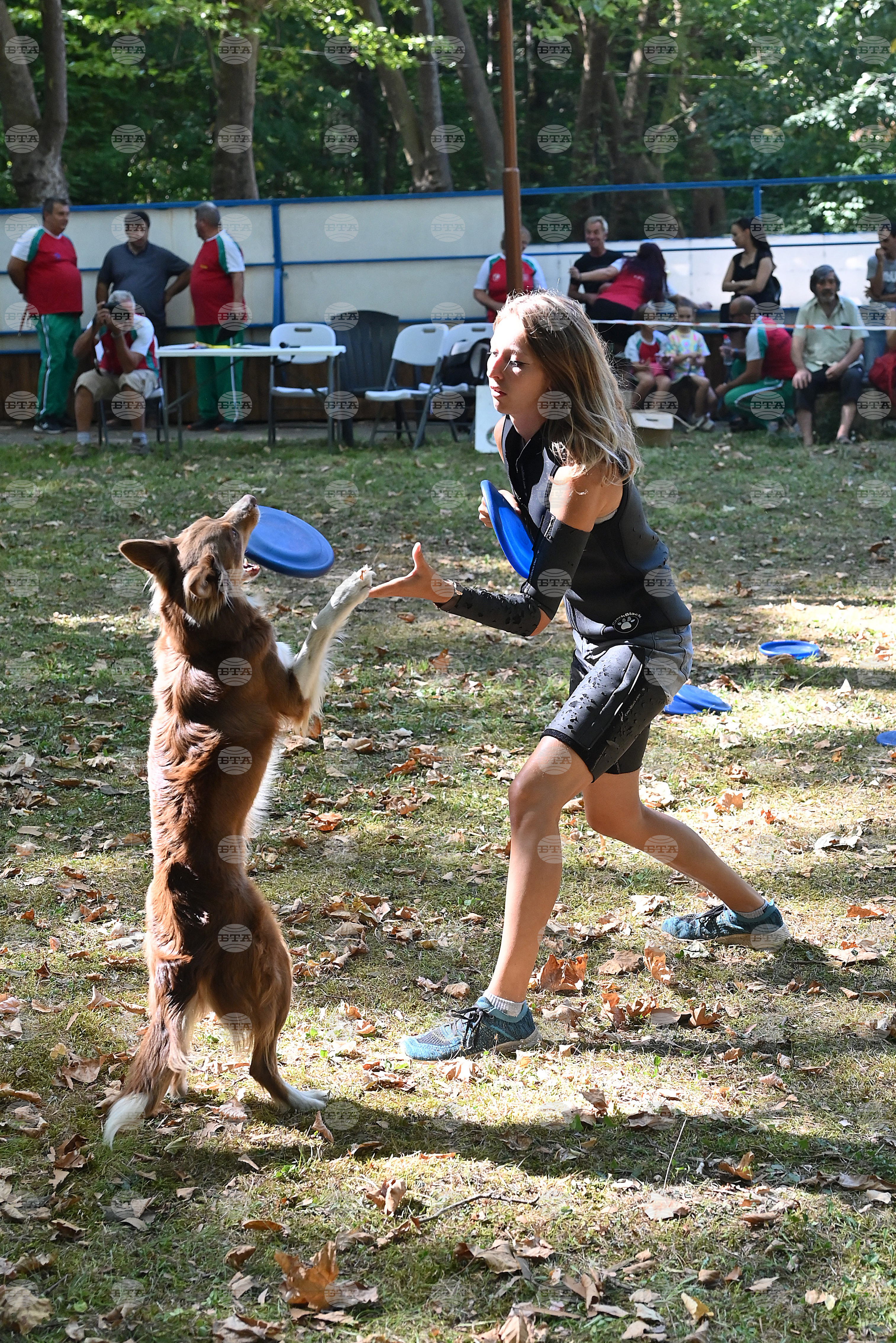 Вършец - „Българско овчарско куче“ - киноложка изложба