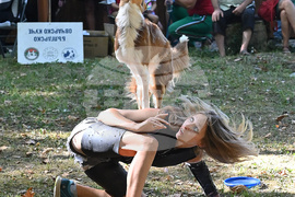 Вършец - „Българско овчарско куче“ - киноложка изложба