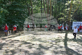 Вършец - „Българско овчарско куче“ - киноложка изложба