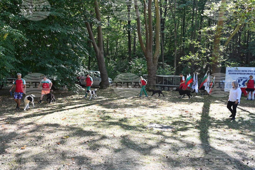 Вършец - „Българско овчарско куче“ - киноложка изложба