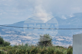 Гърция - пожар - българо-гръцка граница