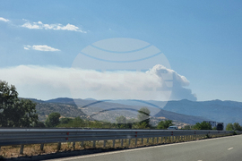 Гърция - пожар - българо-гръцка граница