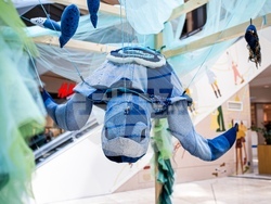 Снимка: Български Червен кръст