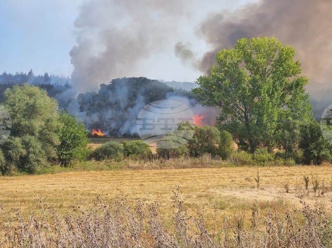  Село Неделкова Гращица - пожар