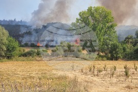 Неделкова Гращица - пожар 