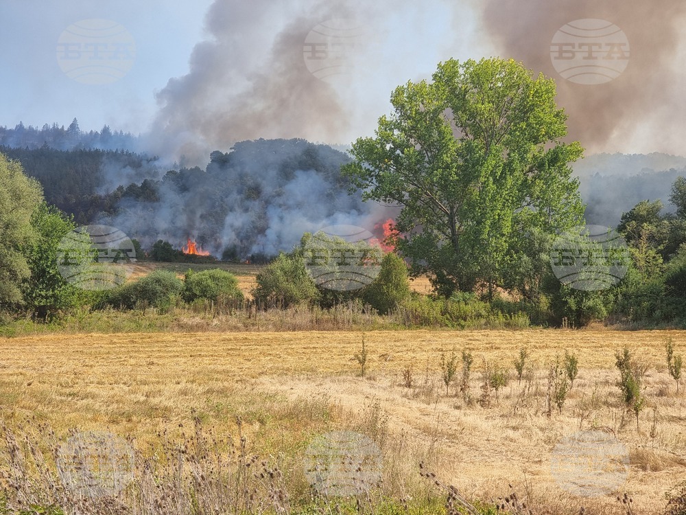 Неделкова Гращица - пожар 