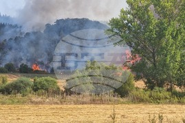 Неделкова Гращица - пожар 