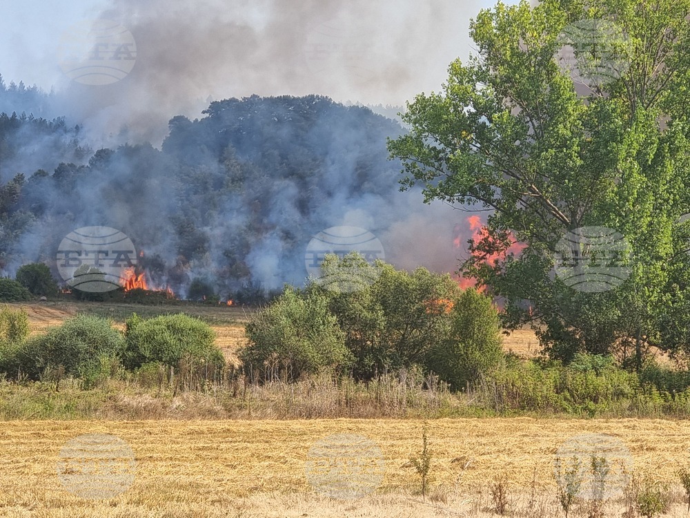 Неделкова Гращица - пожар 