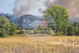 Неделкова Гращица - пожар 