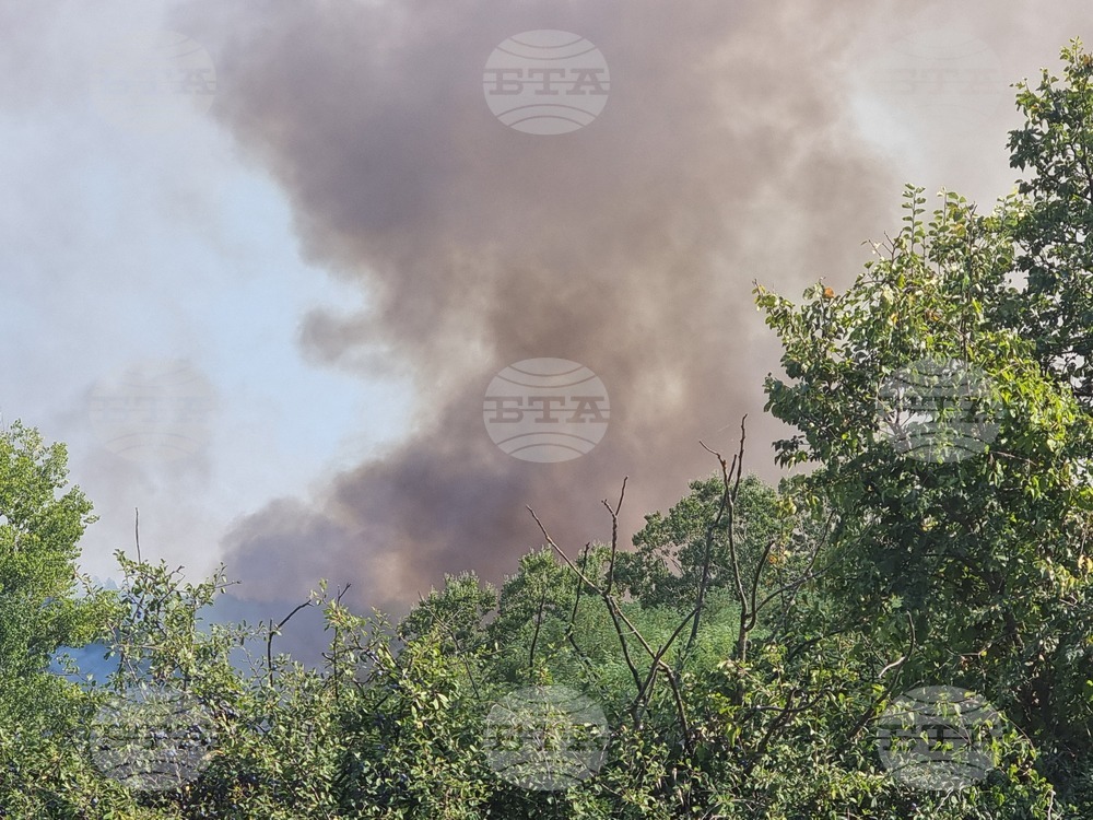 Неделкова Гращица - пожар 