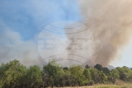 Неделкова Гращица - пожар 