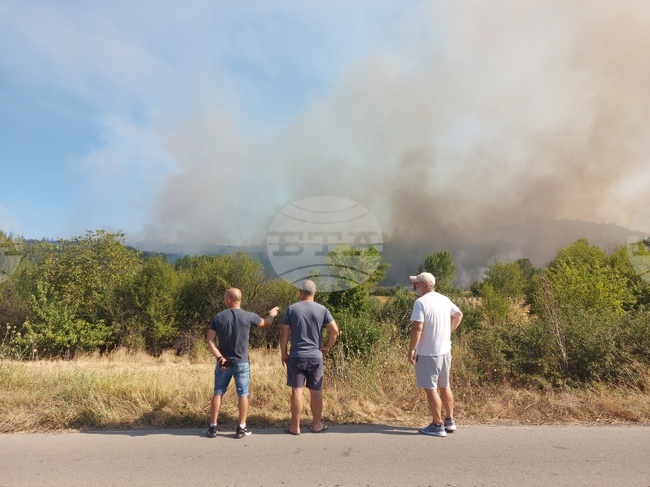 Пожар гори между селата Тишаново и Илия в невестинска община, обхванал е около 50 декара горска територия 