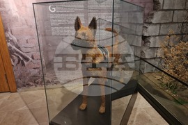 Турция - Анкара - Музей на полицията