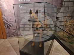 Турция - Анкара - Музей на полицията