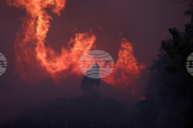 Електропроводите – основна причина за горските пожари в Гърция