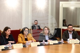 Парламент - Комисия по туризъм