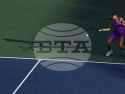 Toronto Tennis