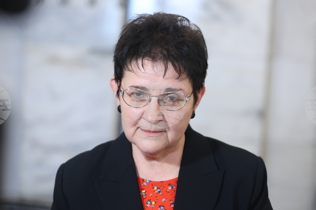 Народно събрание - Людмила Петкова - брифинг