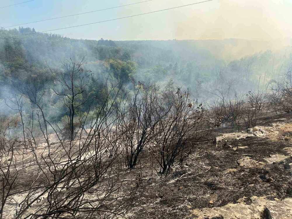 Община Плевен: Пожарът над парк „Кайлъка“ е изгасен, екипи на пожарната обработват терена срещу ново разпалване на огъня