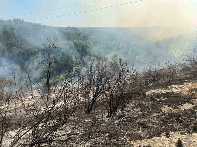 Община Плевен: Пожарът над парк „Кайлъка“ е изгасен, екипи на пожарната обработват терена срещу ново разпалване на огъня