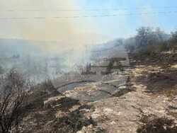 Снимка: Община Плевен