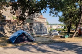 Видин - ТИД 2024 - гребна регата - посрещане