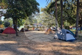 Видин - ТИД 2024 - гребна регата - посрещане