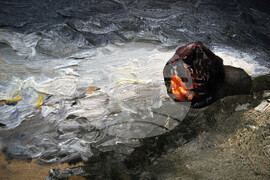 Бургас - Милко Божков- изложба