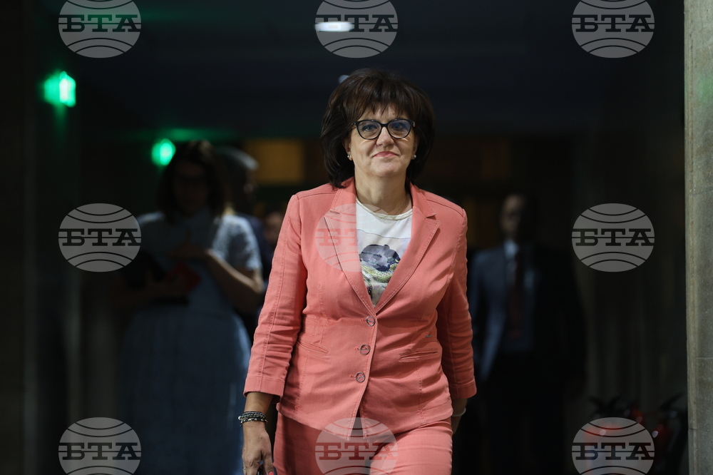 Парламент - заседание - Цвета Караянчева