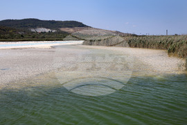 Варна - утаителя на река Провадийска - състояние