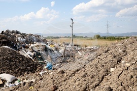 Васил Терзиев и Николай Неделков - брифинг