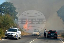 Хасково - пожар