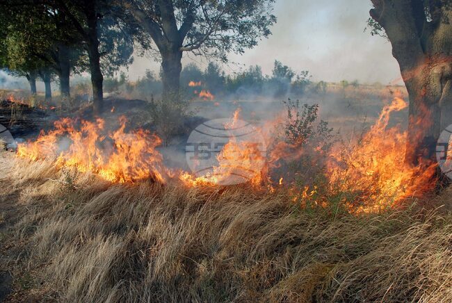 Голям пожар е пламнал между селата Граничак и Дъбравка, съобщиха от Община Белоградчик