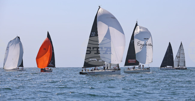 Cor Caroli Foundation Looking for Volunteers