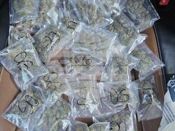 Снимка: МВР