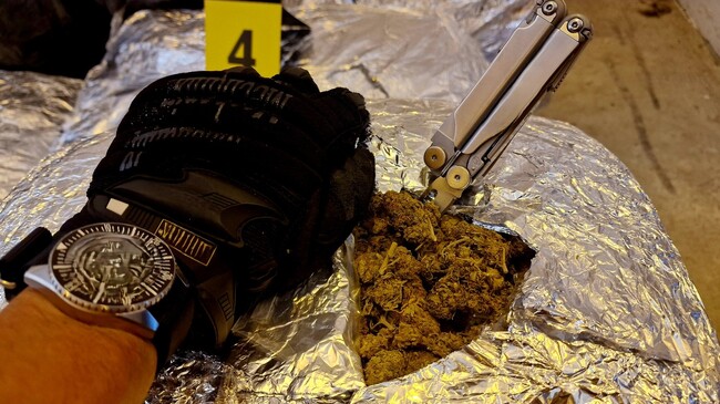 Апелативна прокуратура – София: Под ръководството на Софийска окръжна прокуратура се разследва контрабанда на около 73 кг канабис през МП Калотина