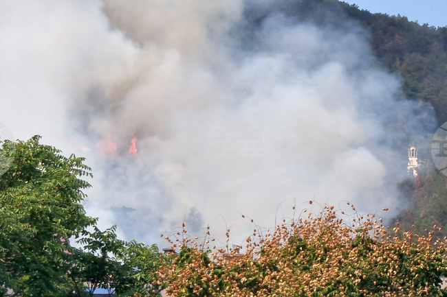 Сливен - Бармук баир - пожар