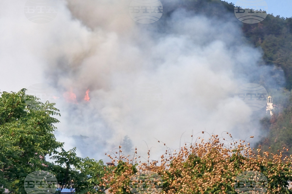 Сливен - Бармук баир - пожар