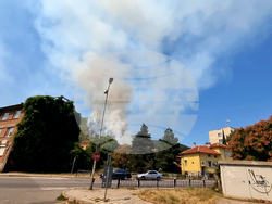 Сливен - Бармук баир - пожар