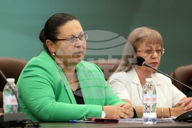 НСлС - пресконференция - Елин Пелин - фойерверки