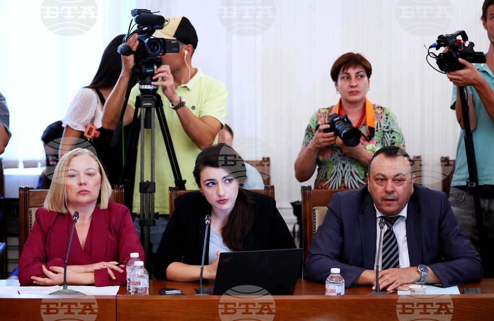 Народно събрание - Временна комисия за дейността на Петьо Еврото и Мартин Божанов